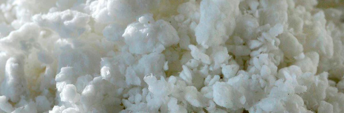 celulose